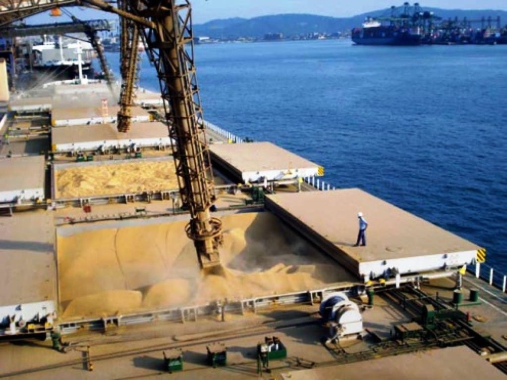 UE vota hoje o adiamento da lei antidesmatamento, mas emendas ameaçam exportações do Brasil