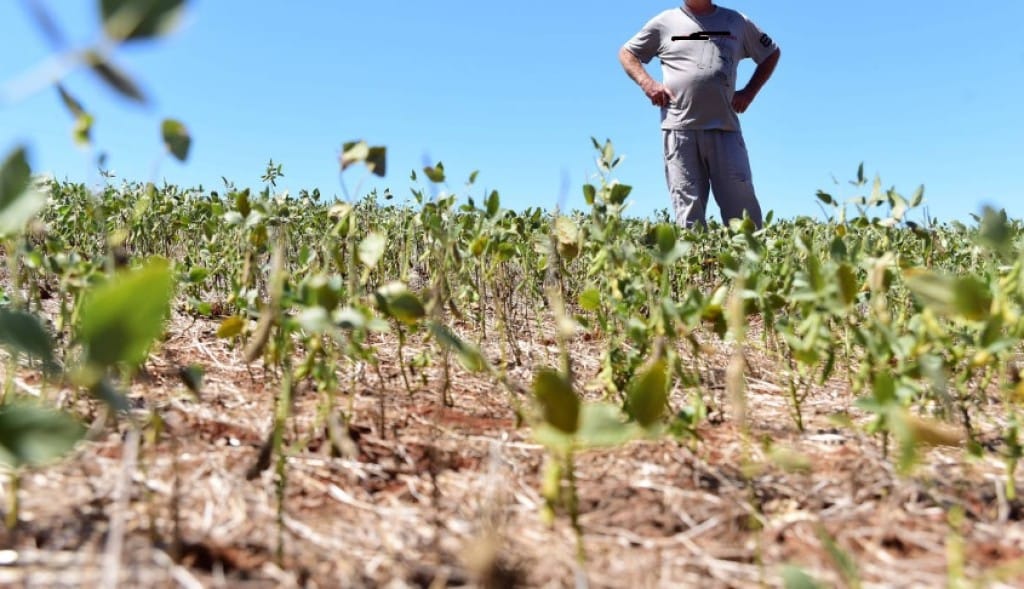 Agricultores querem aprovação do PL 658 para garantir produção de bioinsumos “on farm”