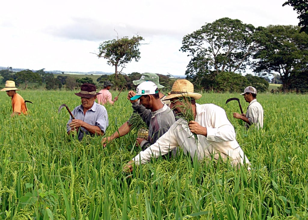 Emater investe R$ 4 milhões e capacita mais de mil produtores em Goiás