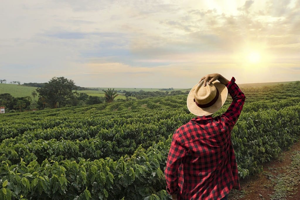 Produto mineiro chega a 86 países e rende R$ 37,2 bilhões