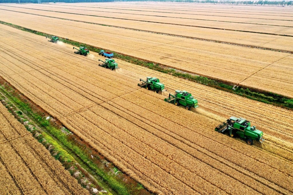 Senado aprova reforma tributária com importantes conquistas para o agro