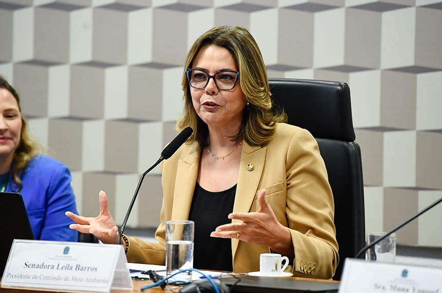 Em balanço da CMA, Leila reforça importância da agenda ambiental inclusiva