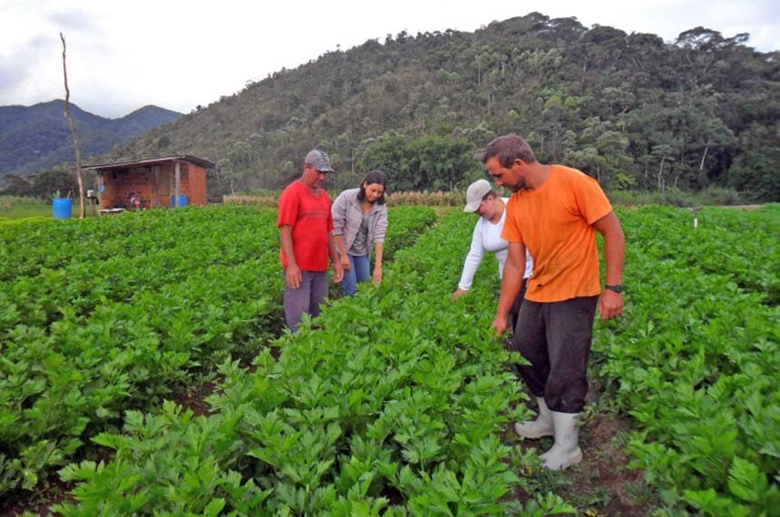 Seguridade especial para cooperados do campo é sancionada