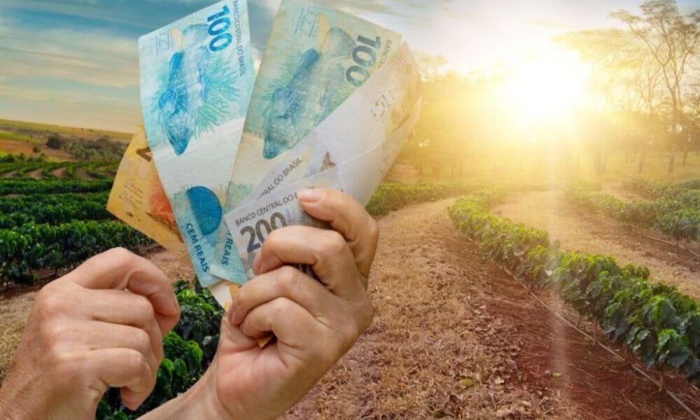 Saldo de crédito no agronegócio cresce 6,5% em 12 meses