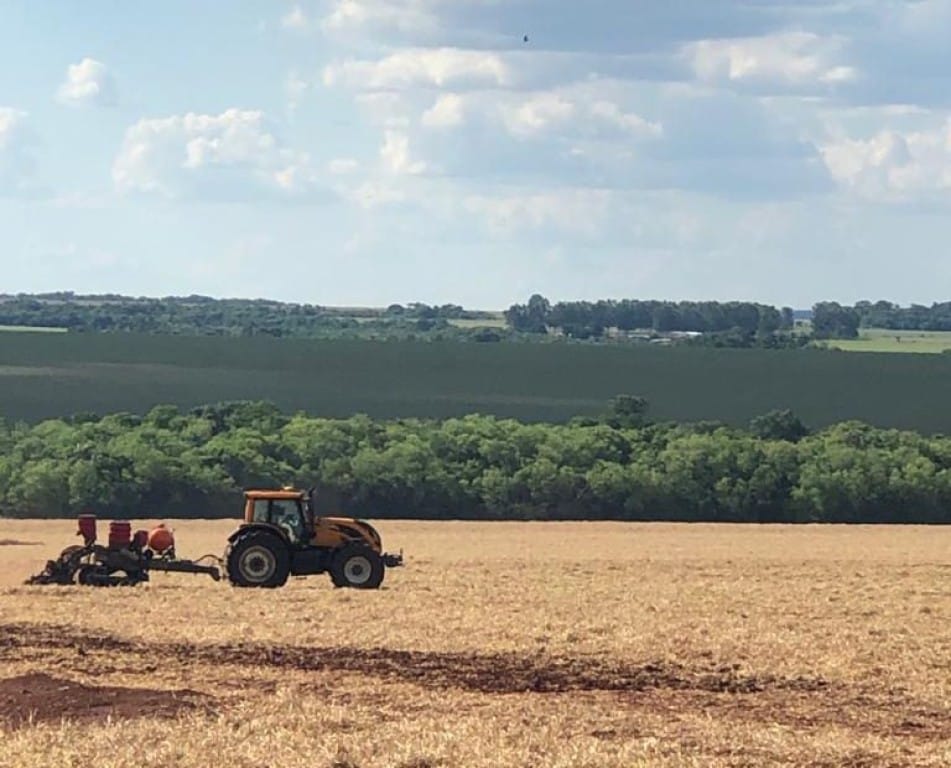MS dá prazo para declaração da área plantada de soja