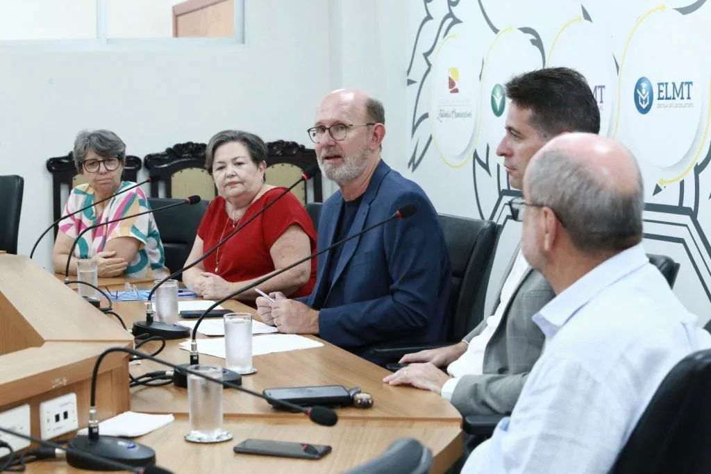 CST de Políticas sobre Saúde Mental presta contas e discute prioridades para 2025