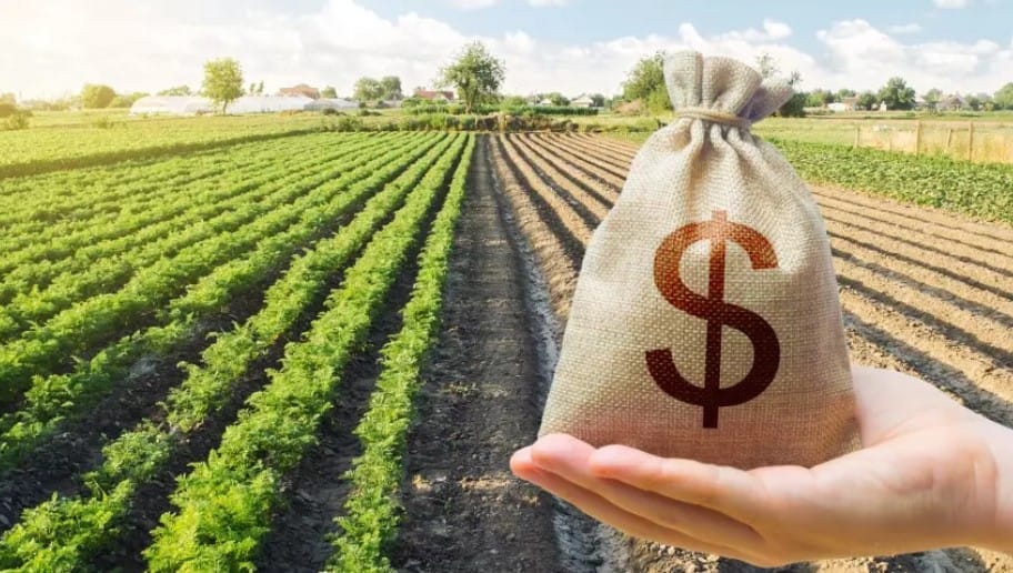 Governo anuncia o “Desenrola Rural” para renegociação de dívidas no campo