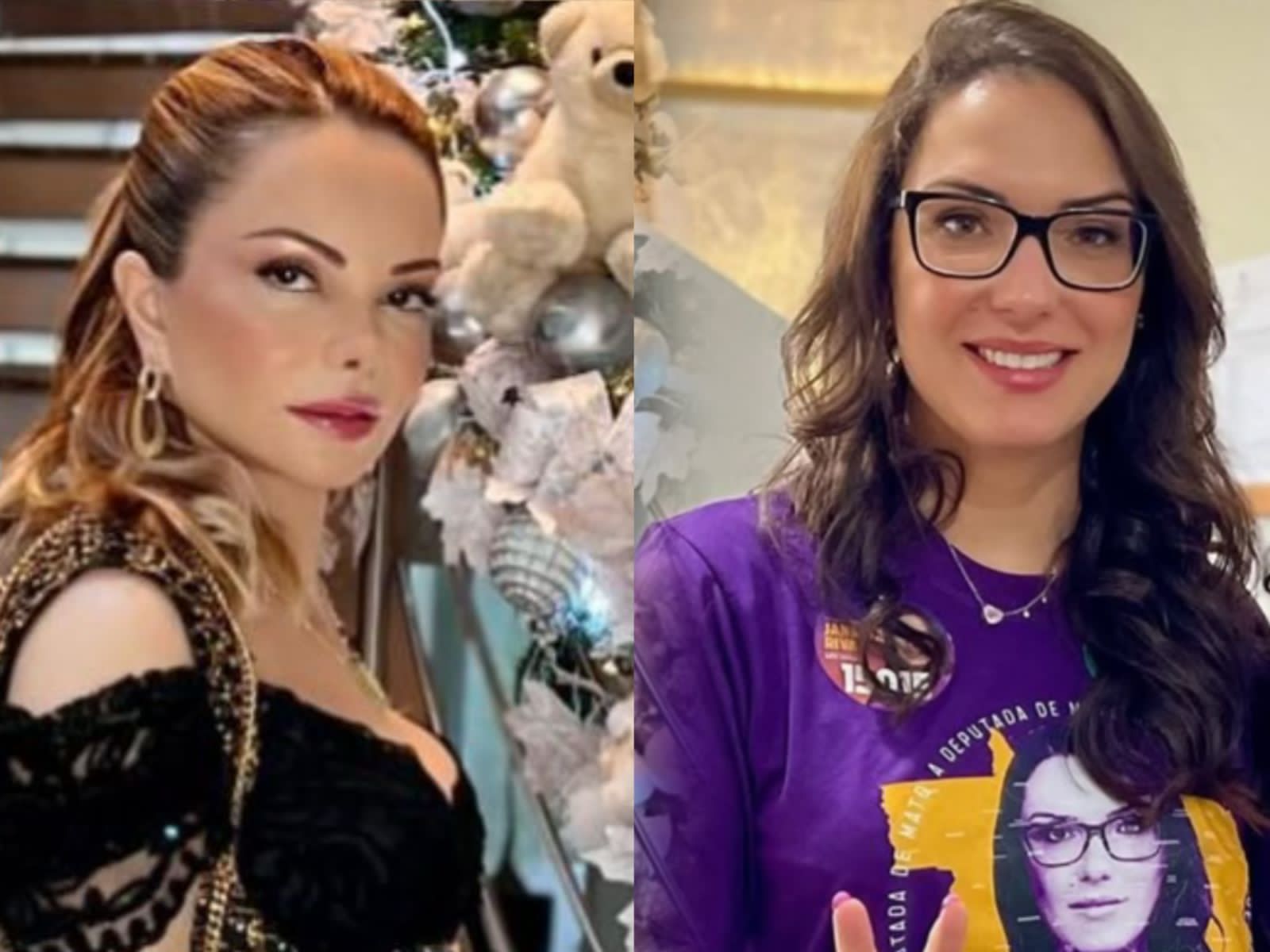 Por que Virgínia Mendes nunca será uma Janaína