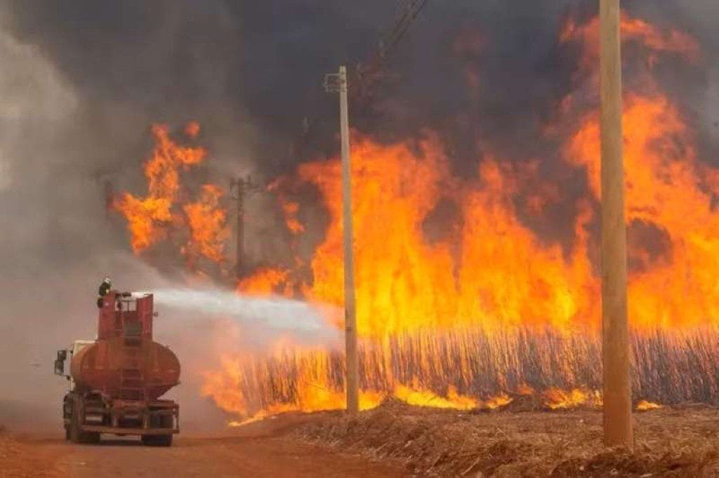 Governo proíbe uso do fogo para manejo de áreas rurais em 2025
