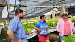 Produtores da Agricultura Familiar recebem suporte do programa Horta Viva