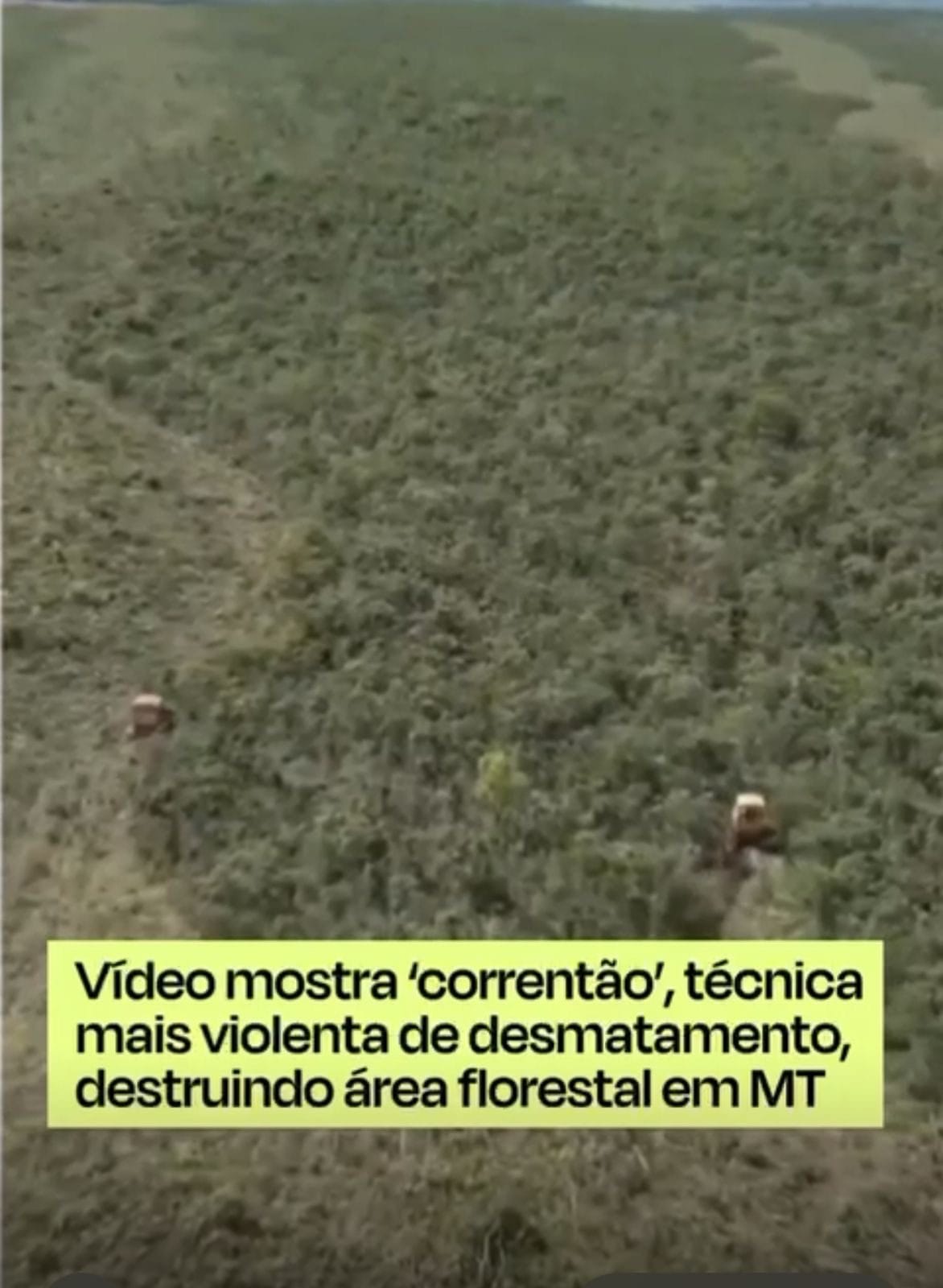 Mato Grosso lidera devastação ambiental com o cruel “correntão” liberado pela própria SEMA