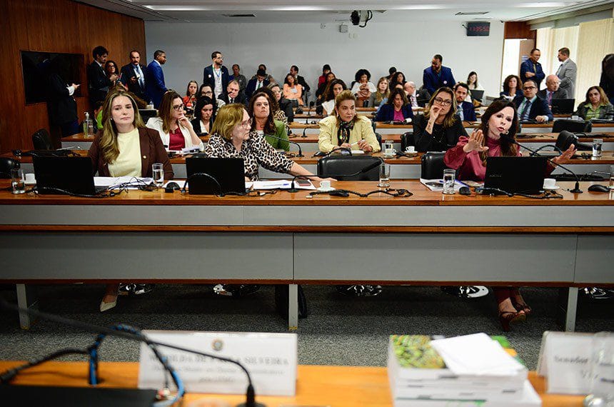 CCJ: senadoras não abrem mão de percentual de candidaturas femininas