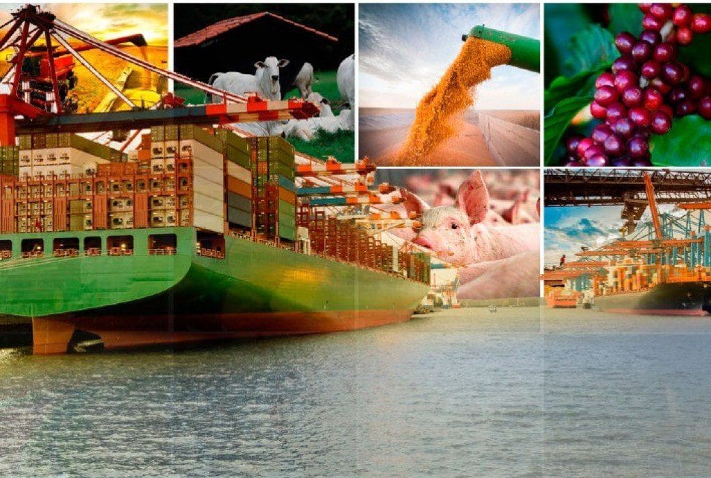 Mesmo com leve recuo, agronegócio sustenta protagonismo nas exportações brasileiras