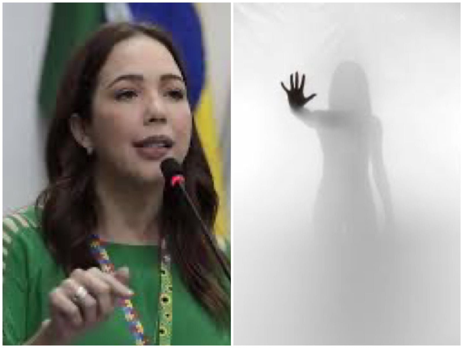 Maysa Leão, o “Abílio de Saia” da Câmara