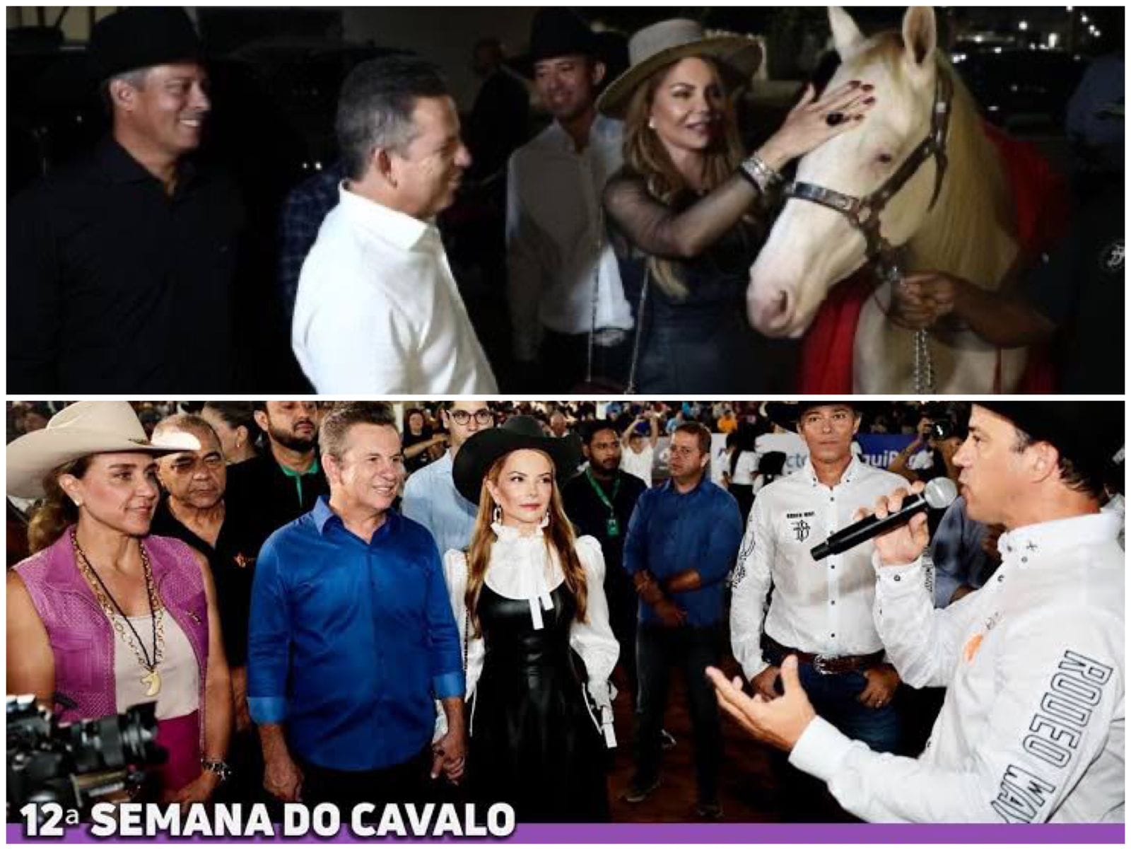 🚨 Governo Mauro Mendes faz contrato de R$ 1,6 milhão por inexigibilidade em projeto de cavalos, mas Cuiabá já tem entidade no setor