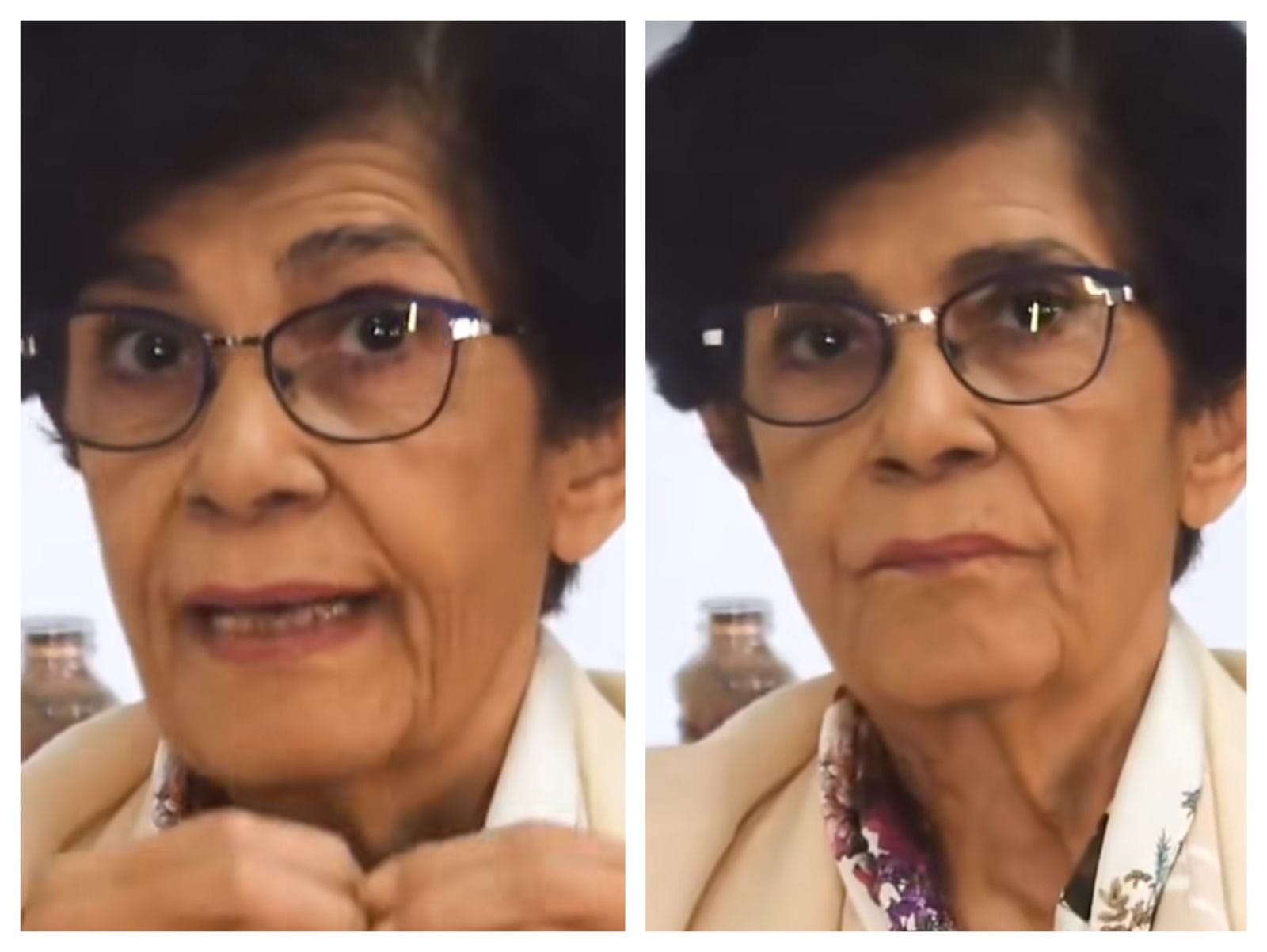 Marilena Chaui disseca o papel da classe média: “sonha com a elite, teme o povo e reproduz a ideologia dominante”