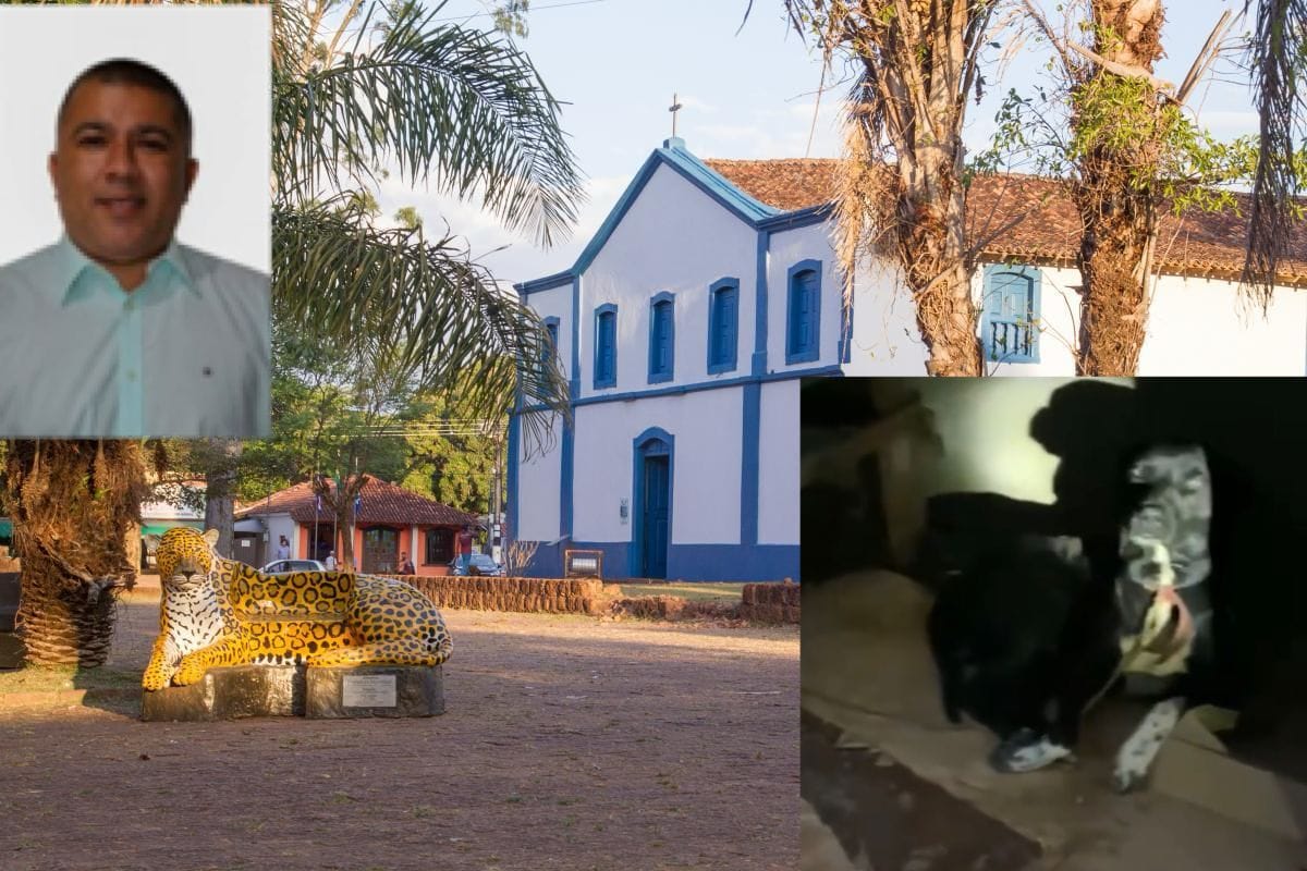 🚨 Secretário de Saúde de Chapada dos Guimarães é denunciado por maus-tratos e abandono de animal
