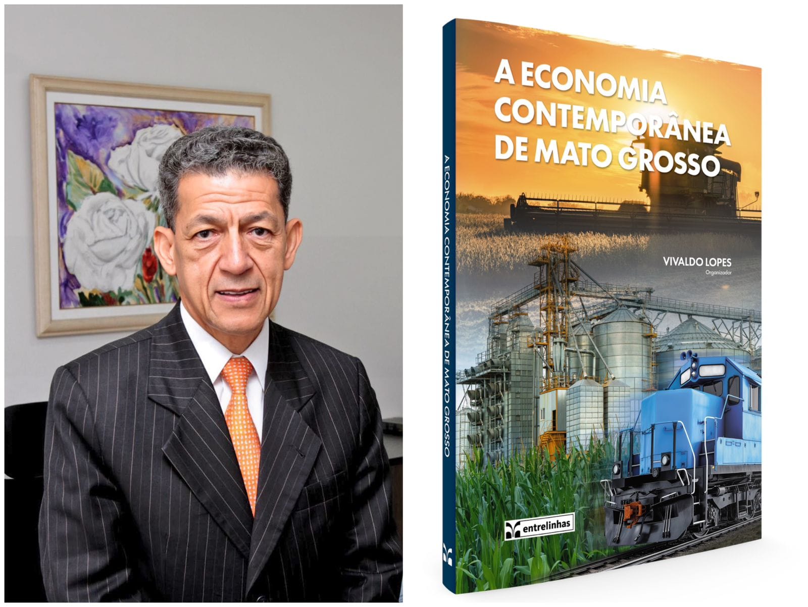 A Economia Contemporânea de Mato Grosso analisada e apresentada em minucias