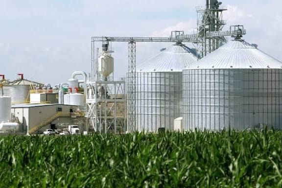 Bastidores indicam que grupo ligado a gigante do etanol em importante cidade do Nortão de MT pode ter viabilizado R$ 80 milhões para compra do crédito da Oi