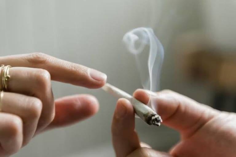 Cuiabá e Mato Grosso sobem no ranking de consumo de maconha entre adolescentes e destoam da tendência nacional de queda
