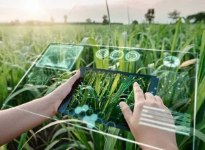 Agricultura digital deve crescer 183% e alcançar R$ 48,55 bilhões até 2026
