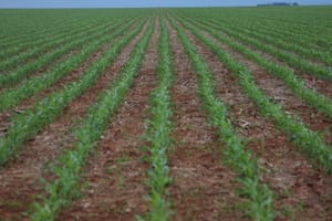 Mato Grosso Clima e Mercado 2024 percorre as quatro regiões do estado