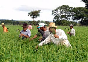 Emater investe R$ 4 milhões e capacita mais de mil produtores em Goiás