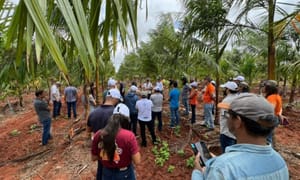 Rio Grande do Norte investe na diversificação agrícola