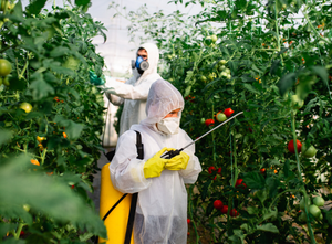Industrialização é fundamental para agregar valor ao agro e impulsionar economia brasileira