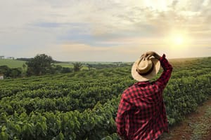 Produto mineiro chega a 86 países e rende R$ 37,2 bilhões