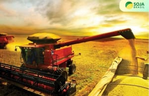 Brasil gigante: colheita começou, mas ainda falta chuva para o plantio