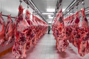 Exportação de carne bovina desacelera em dezembro, mas acumula crescimento