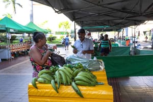 É amanhã! Feira da Agricultura Familiar chega à 9ª edição na Praça Alencastro