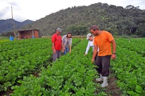 Seguridade especial para cooperados do campo é sancionada