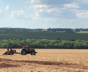 MS dá prazo para declaração da área plantada de soja