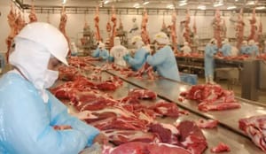 China anuncia investigação e pode impor barreiras à carne brasileira