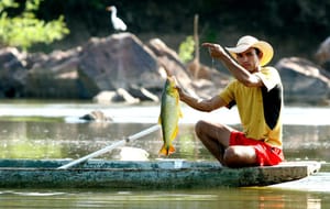 Lei da Pesca completará um ano privando pescadores de MT