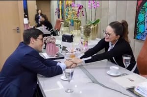 O Ministério Público e a Arte de Virar Chapa Branca: Para Quem Serve a Carapuça?