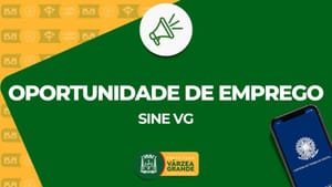 Sine-VG disponibiliza 333 vagas de emprego nesta semana