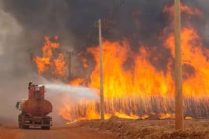 Governo proíbe uso do fogo para manejo de áreas rurais em 2025