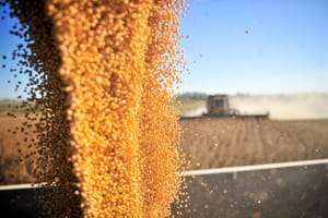 Departamento de Agricultura americano prevê que Brasil vá produzir 173 milhões de toneladas