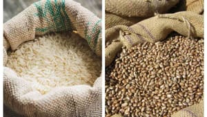 Consumo de arroz e feijão cai no Brasil e mudanças de hábito preocupam