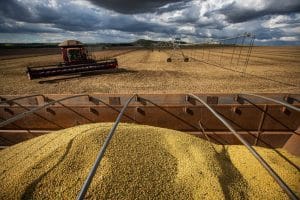 Colheita atinge 83% em março, com ritmo acelerado em Mato Grosso