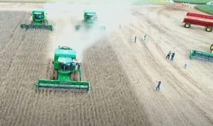 Às vésperas da COP30, agronegócio cobra protagonismo e questiona a “Moratória da Soja”