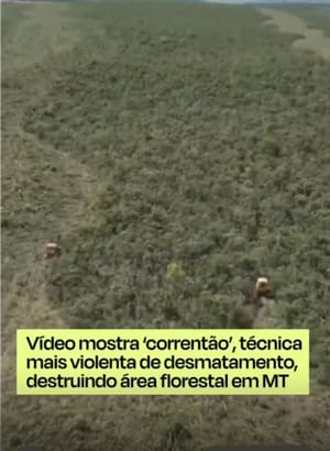 Mato Grosso lidera devastação ambiental com o cruel “correntão” liberado pela própria SEMA