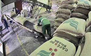 Exportações de café não torrado já passam de R$ 6 bilhões em abril