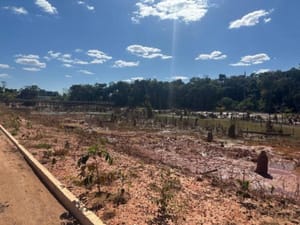 Leito do Lago Norte passará por limpeza