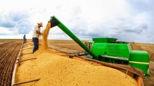 Brasil deve ampliar área de soja ter safra recorde de grãos em 2025/26