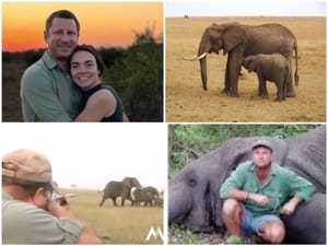 💥🐘 “CEO de Reserva de Caça é Pisoteado e Morto por Elefante — Natureza e seus mistérios ”