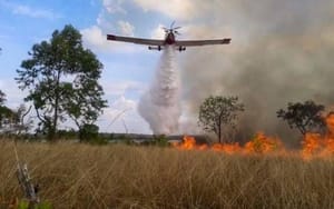 Top Gun pantaneiro: 2 mil voos em 60 dias despejando 4 milhões de litros contra incêndios em Mato Grosso